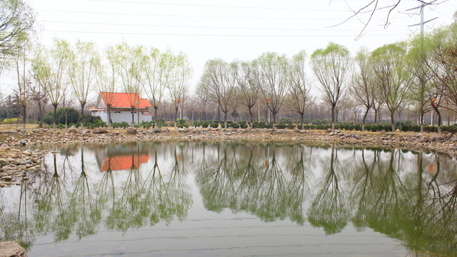 園林風(fēng)景