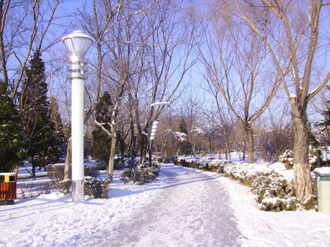 雪景