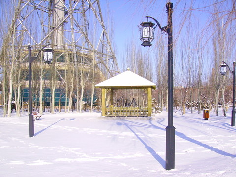 雪景