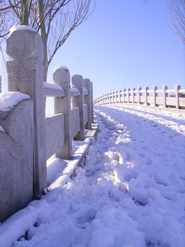 橋
