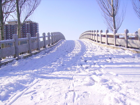 橋