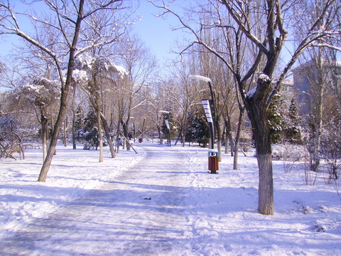 雪景