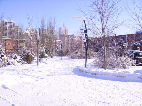 雪景