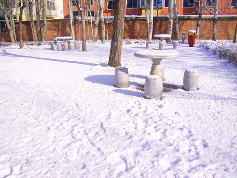 雪景