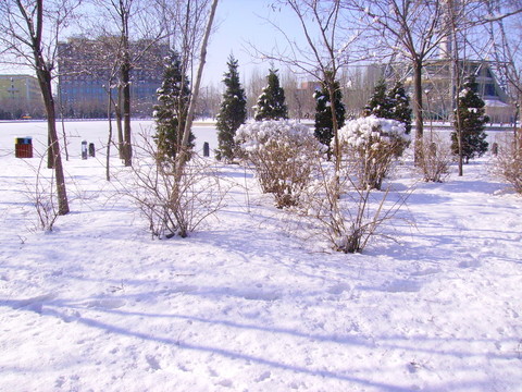 雪景