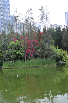 幽靜的園林景觀