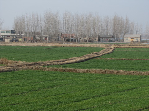 村莊農(nóng)居
