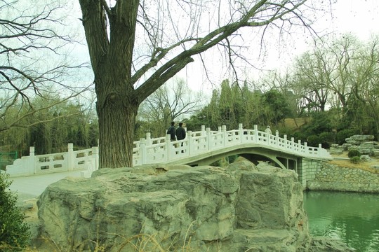 橋
