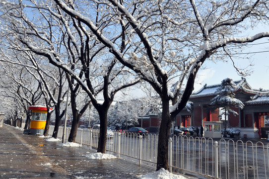 府右街雪景