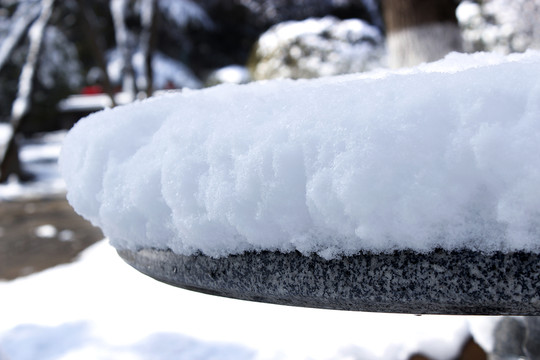 春雪
