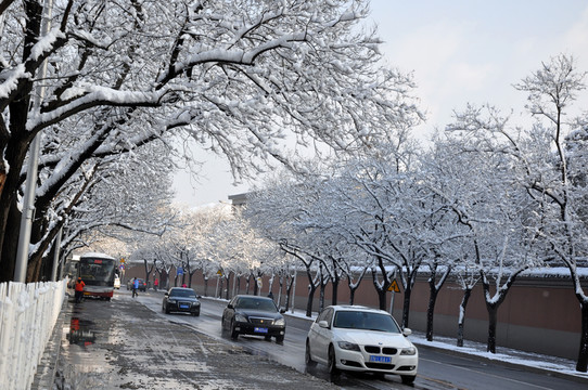 府右街雪景