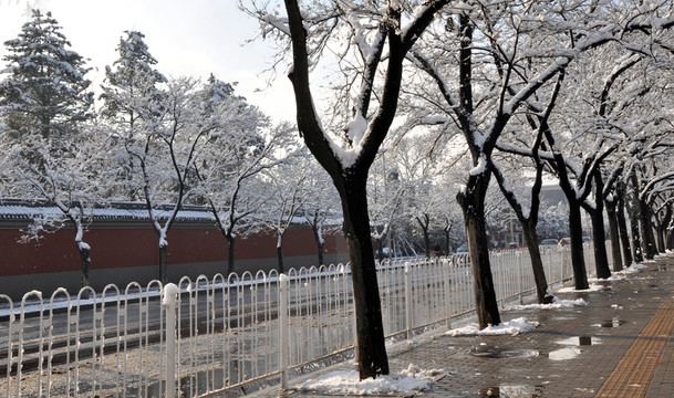 府右街雪景