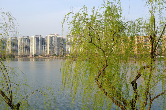 莫愁湖