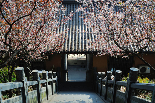 玄奘寺