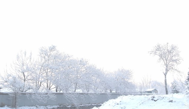雪景圍墻