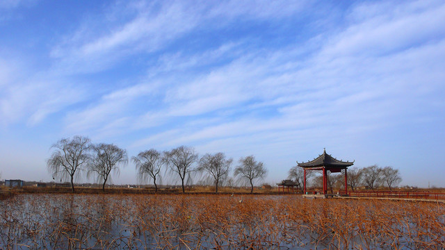 春天風(fēng)景