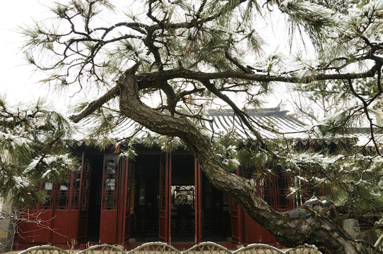 蘇州網(wǎng)師園雪景