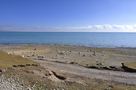 青海湖風(fēng)光