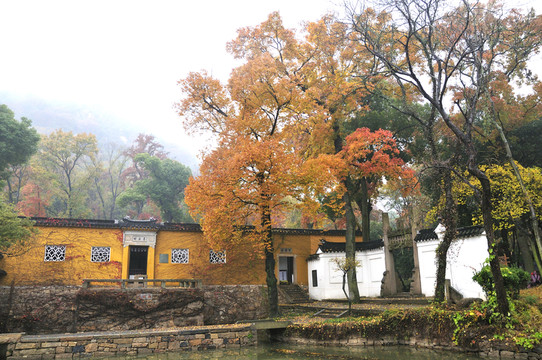 天平山楓葉