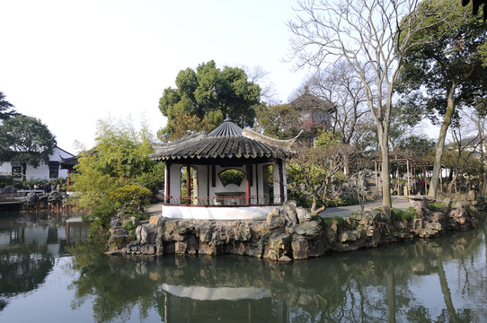 拙政園冬景