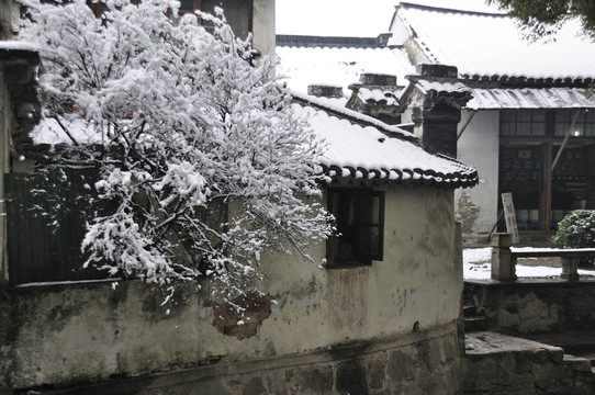 甪直雪景