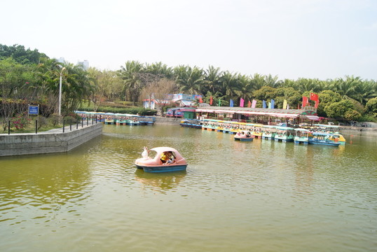 深圳中山公園湖景