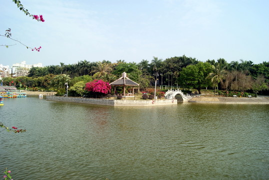 深圳中山公園湖景
