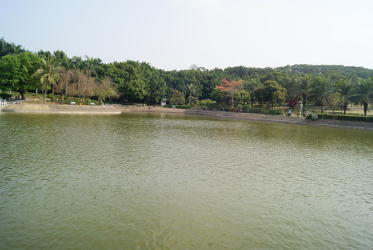 深圳中山公園湖景