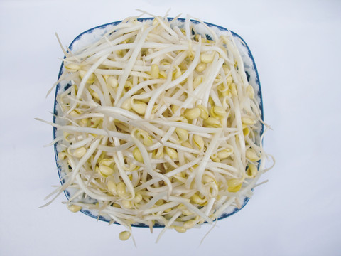 黃豆芽