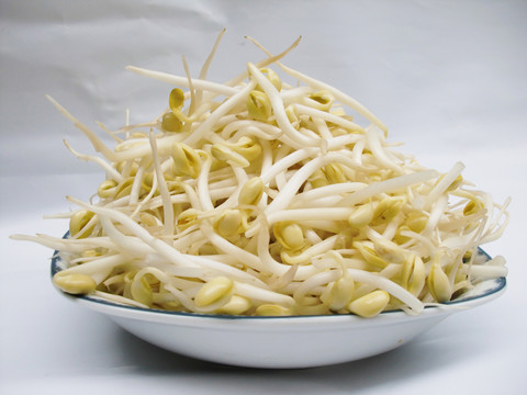 黃豆芽