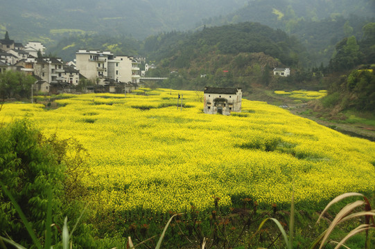 新安江十里畫(huà)廊