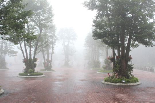 公園景觀