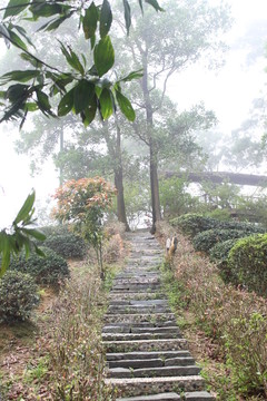 公園景觀 綠道