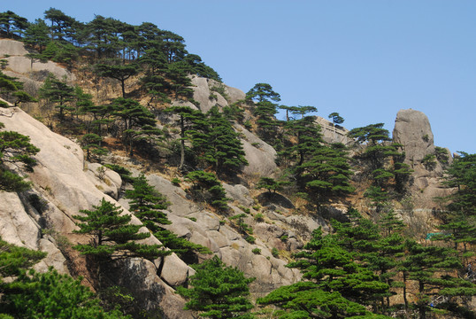 安徽 黃山