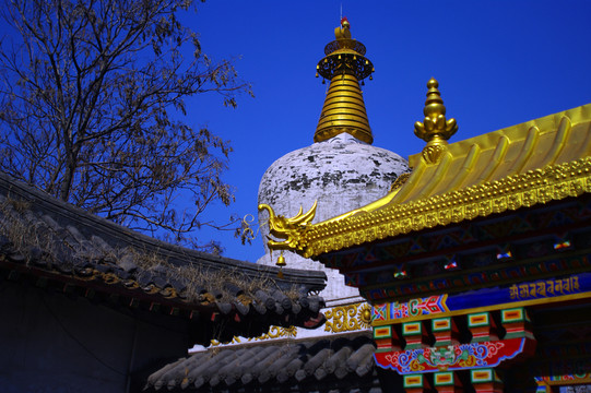 沈陽(yáng)北塔護(hù)國(guó)寺