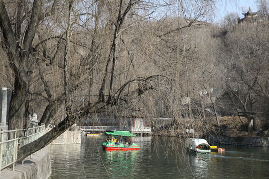 公園