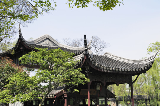 蘇州拙政園之春