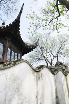 蘇州拙政園之春
