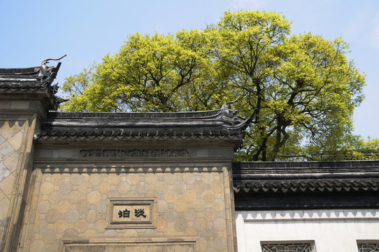 蘇州拙政園之春