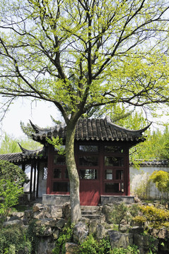 蘇州耦園春色