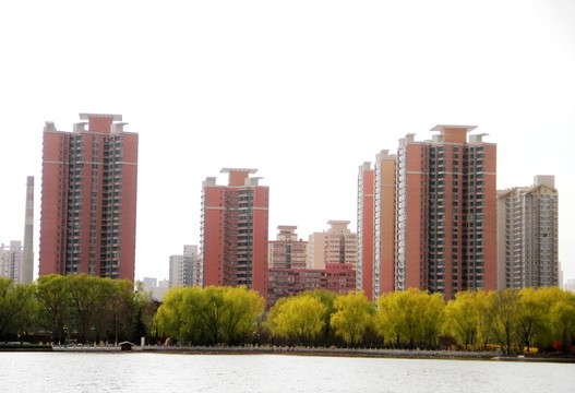 湖邊柳樹和住宅樓