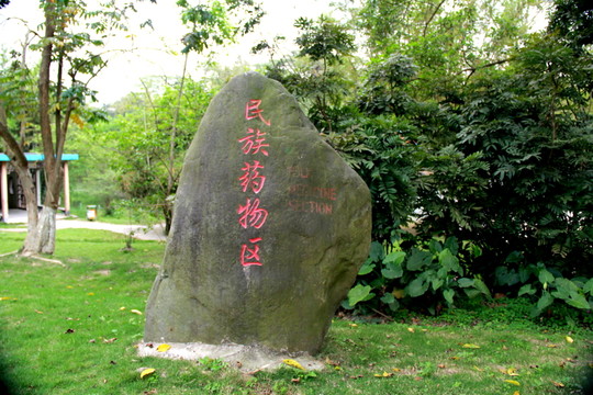 廣西藥用植物園 民族藥園區(qū)