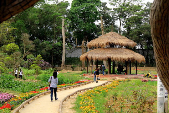 廣西藥用植物園草部涼亭一瞥