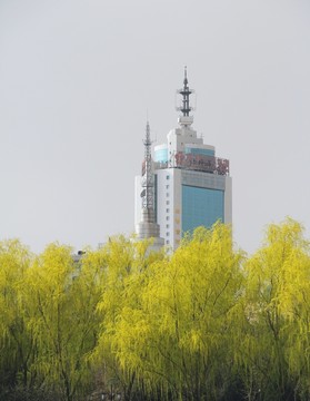 柳樹(shù)和辦公樓