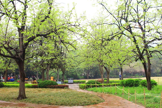 鄭州碧沙崗公園