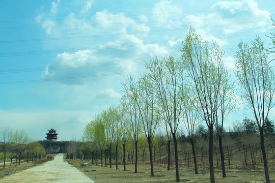 園博會(huì)觀鷹亭