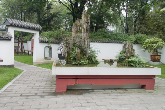 盆景