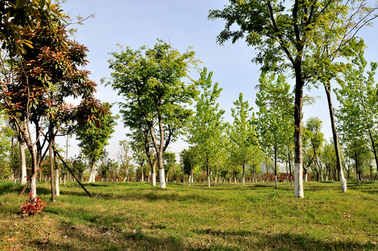 合肥蜀山森林公園