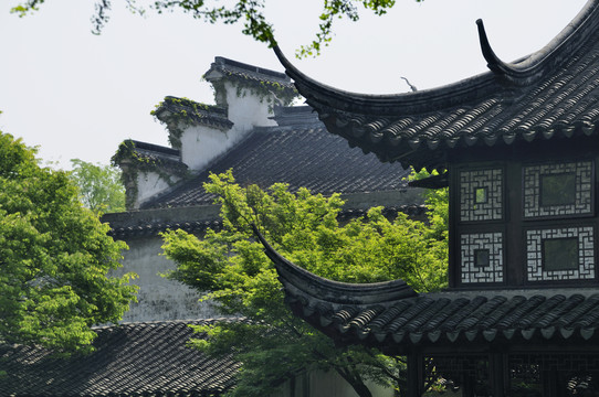 蘇州留園春色
