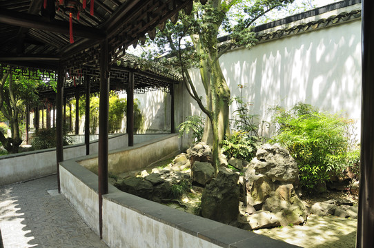 蘇州留園春色